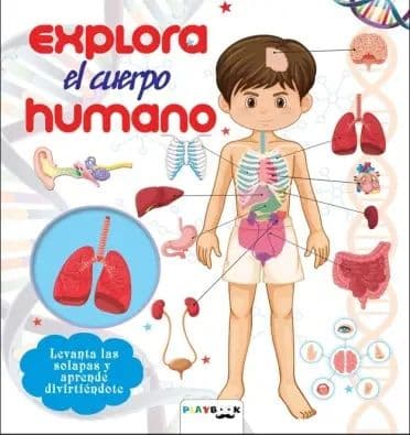 Explora el cuerpo humano
